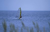windsurf